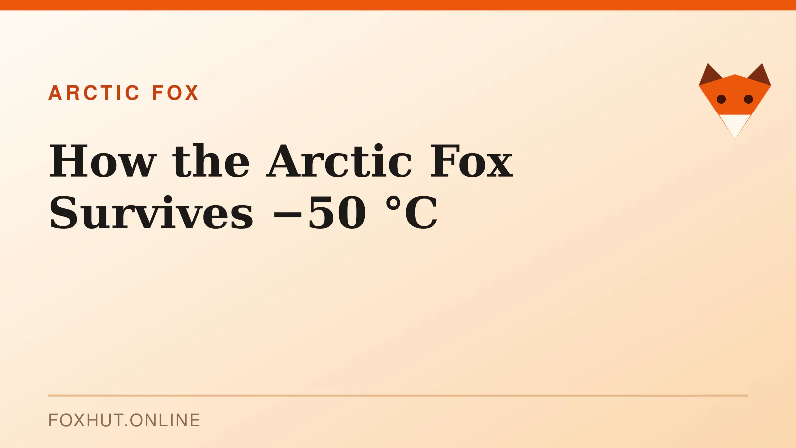 How the Arctic Fox Survives −50 °C — arctic fox