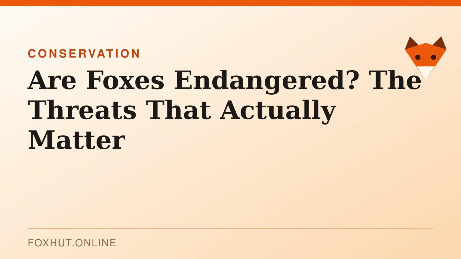 Are Foxes Endangered? The Threats That Actually Matter — conservation