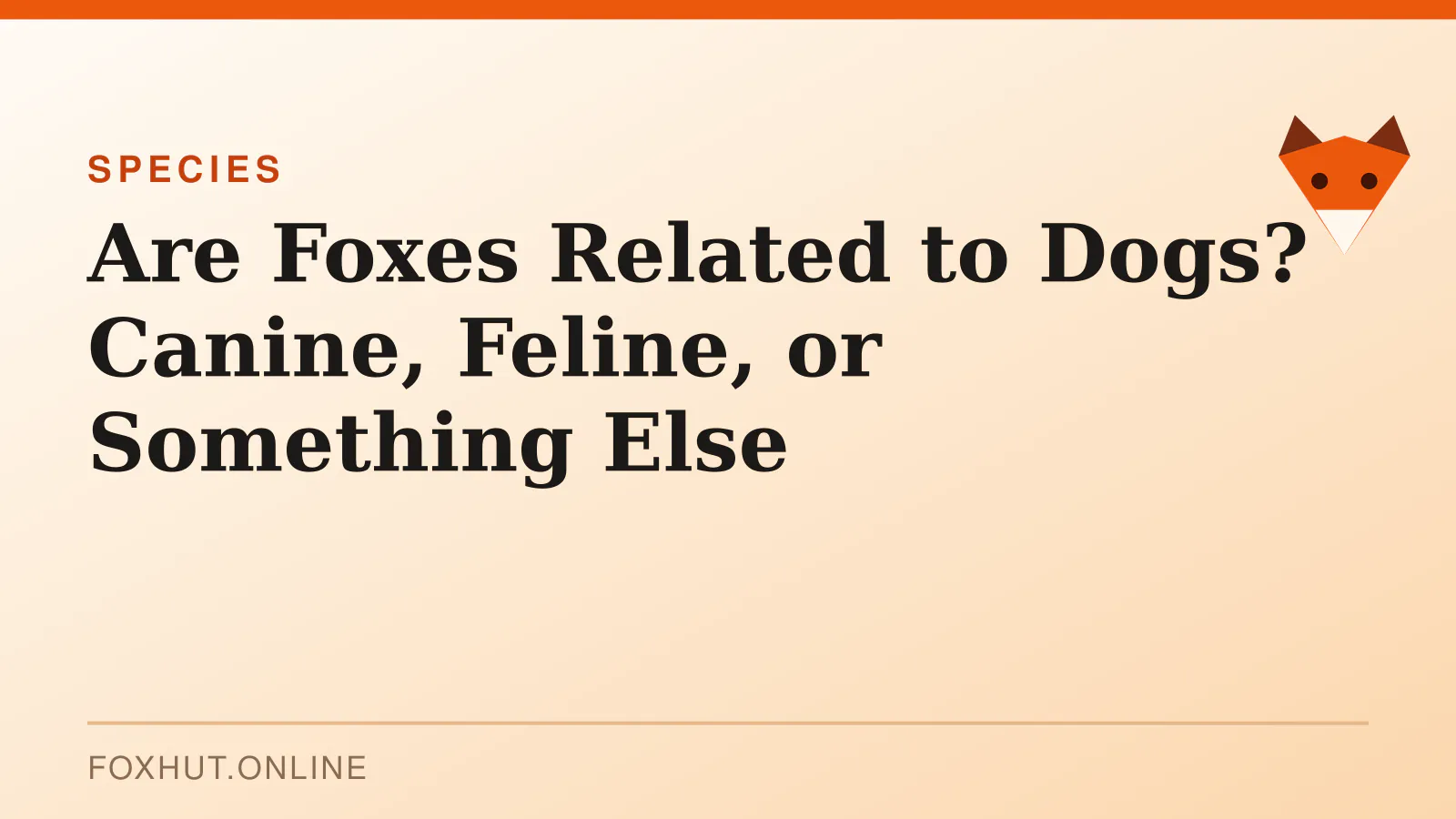 Are Foxes Related to Dogs? Canine, Feline, or Something Else — species