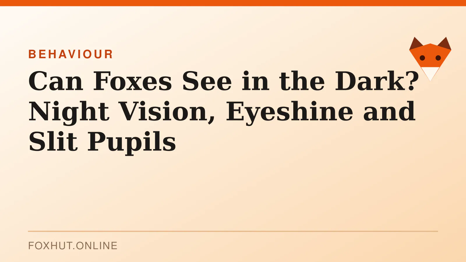 Can Foxes See in the Dark? Night Vision, Eyeshine and Slit Pupils — behaviour