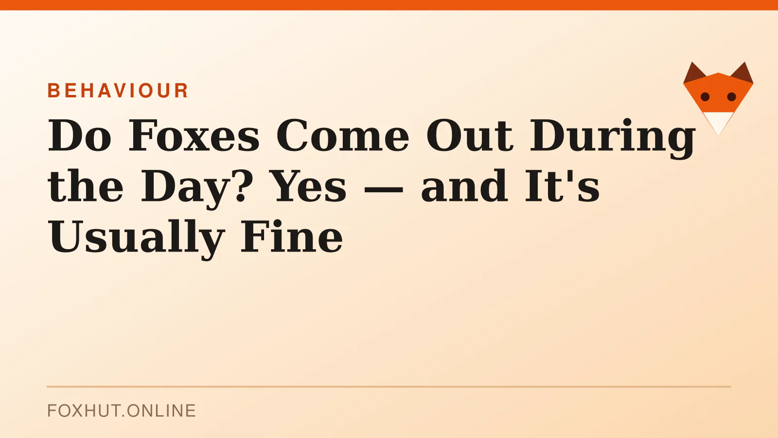 Do Foxes Come Out During the Day? Yes — and It's Usually Fine — behaviour
