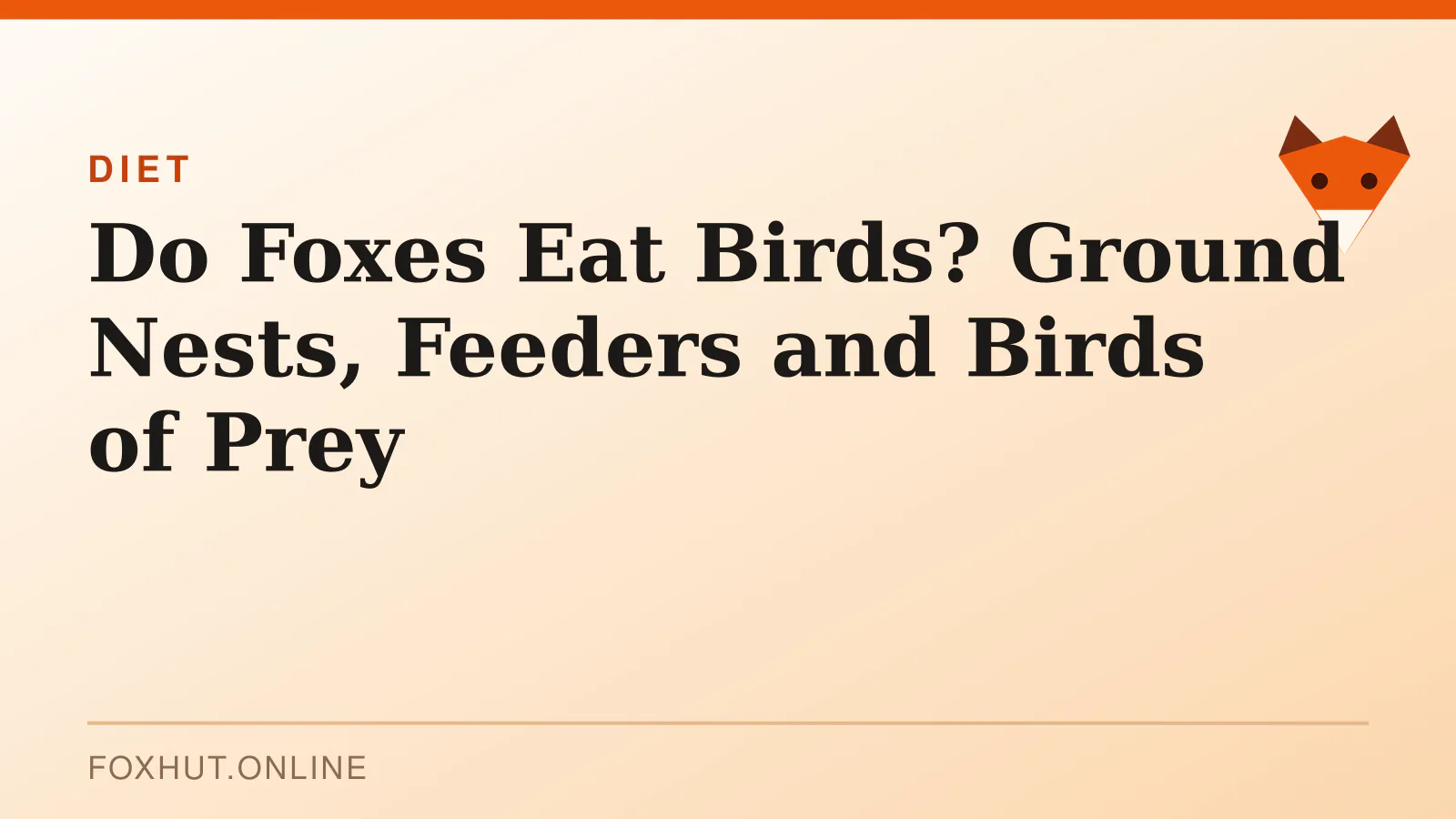 Do Foxes Eat Birds? Ground Nests, Feeders and Birds of Prey — diet