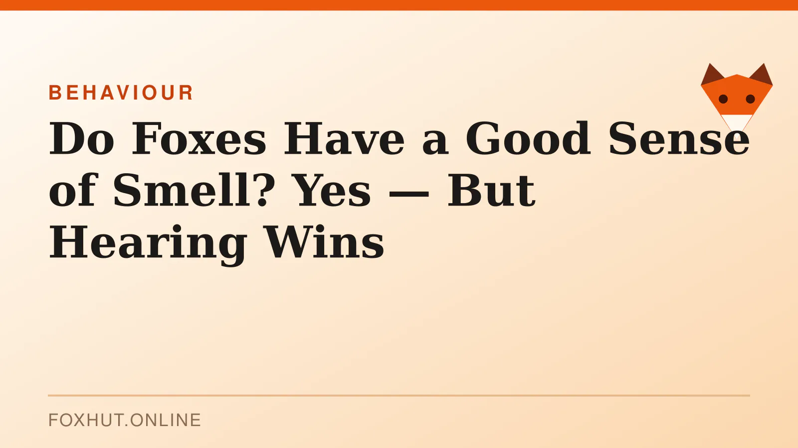 Do Foxes Have a Good Sense of Smell? Yes — But Hearing Wins — behaviour