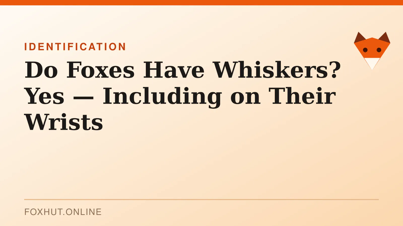 Do Foxes Have Whiskers? Yes — Including on Their Wrists — identification