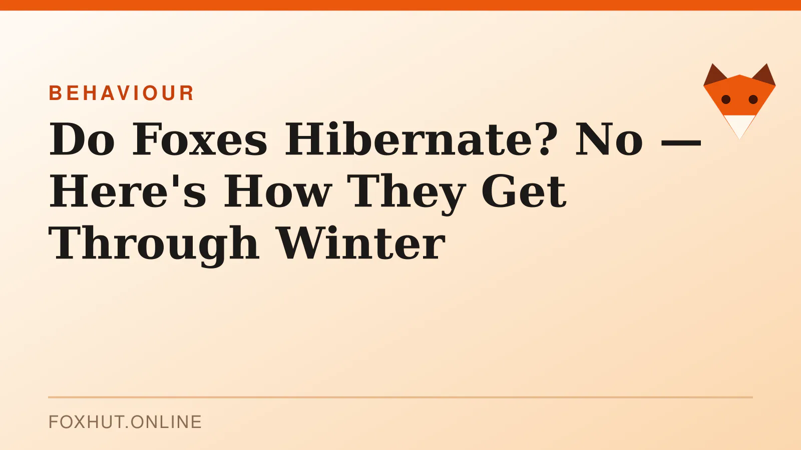 Do Foxes Hibernate? No — Here's How They Get Through Winter — behaviour