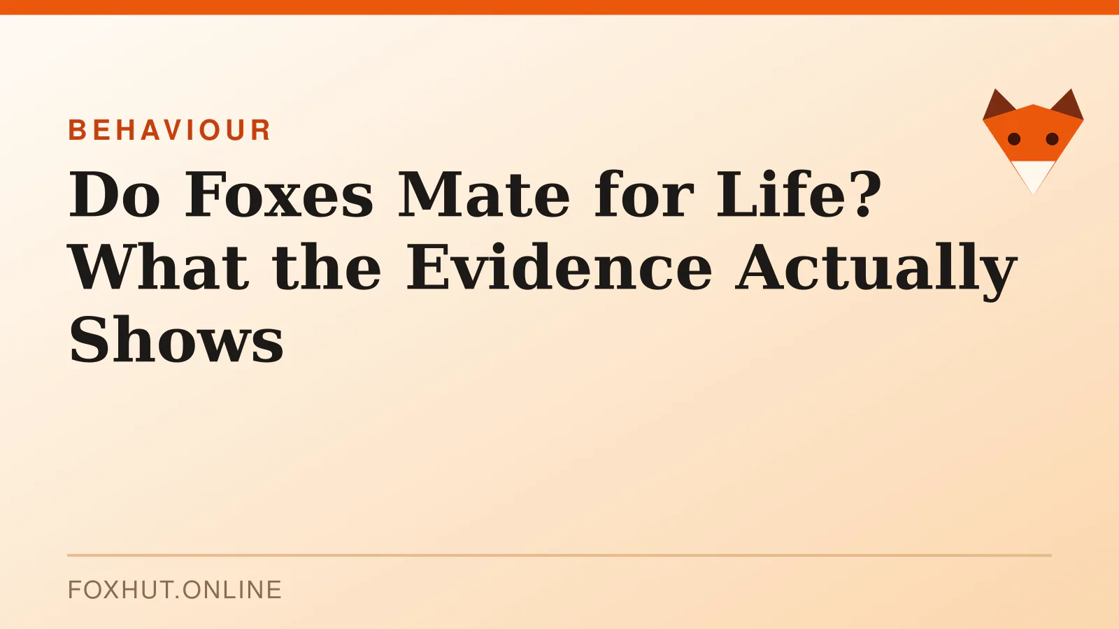 Do Foxes Mate for Life? What the Evidence Actually Shows — behaviour