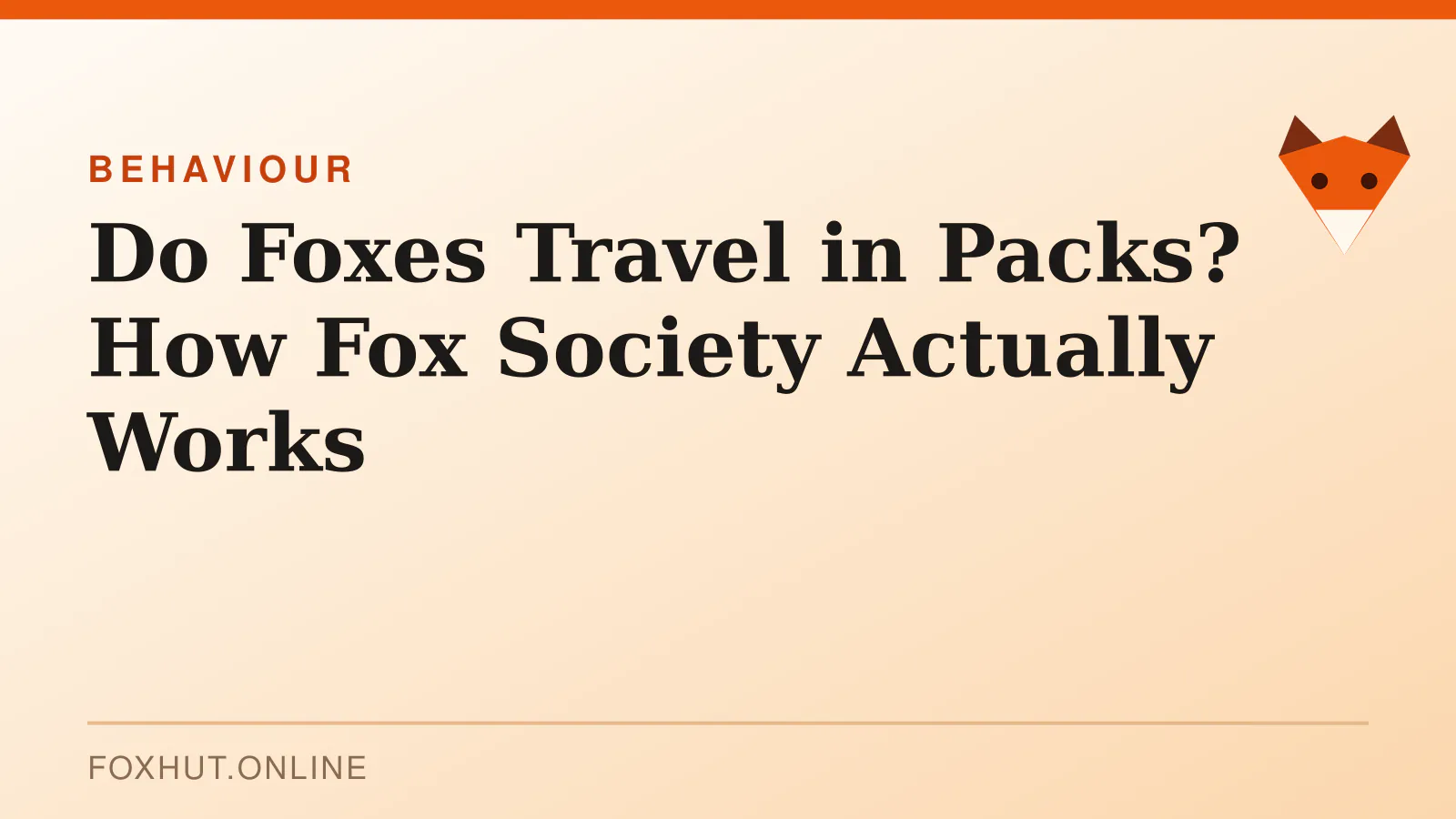 Do Foxes Travel in Packs? How Fox Society Actually Works — behaviour