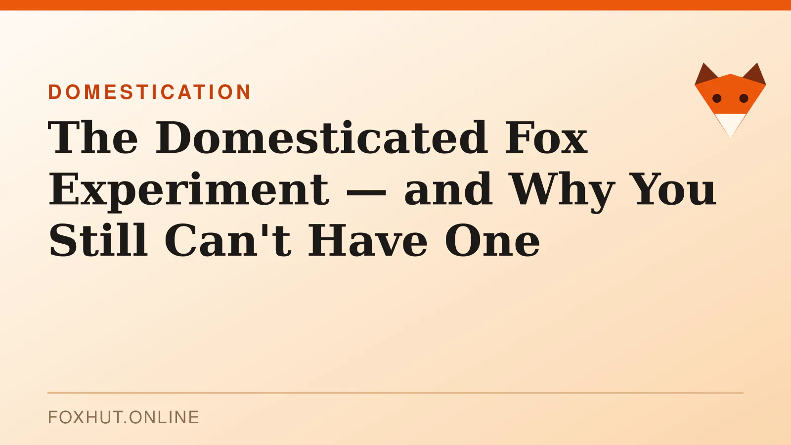 The Domesticated Fox Experiment — and Why You Still Can't Have One — domestication