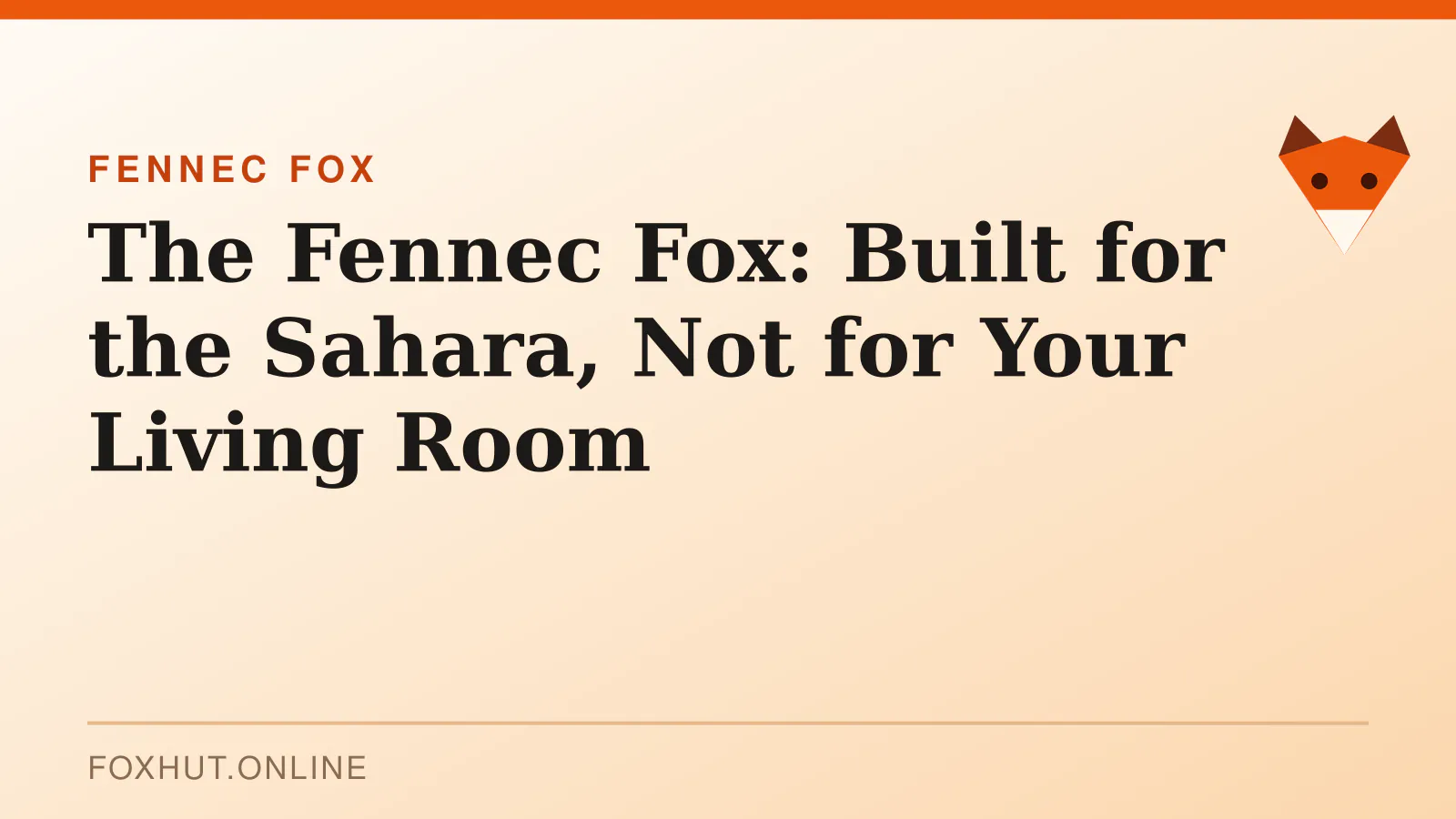 The Fennec Fox: Built for the Sahara, Not for Your Living Room — fennec fox