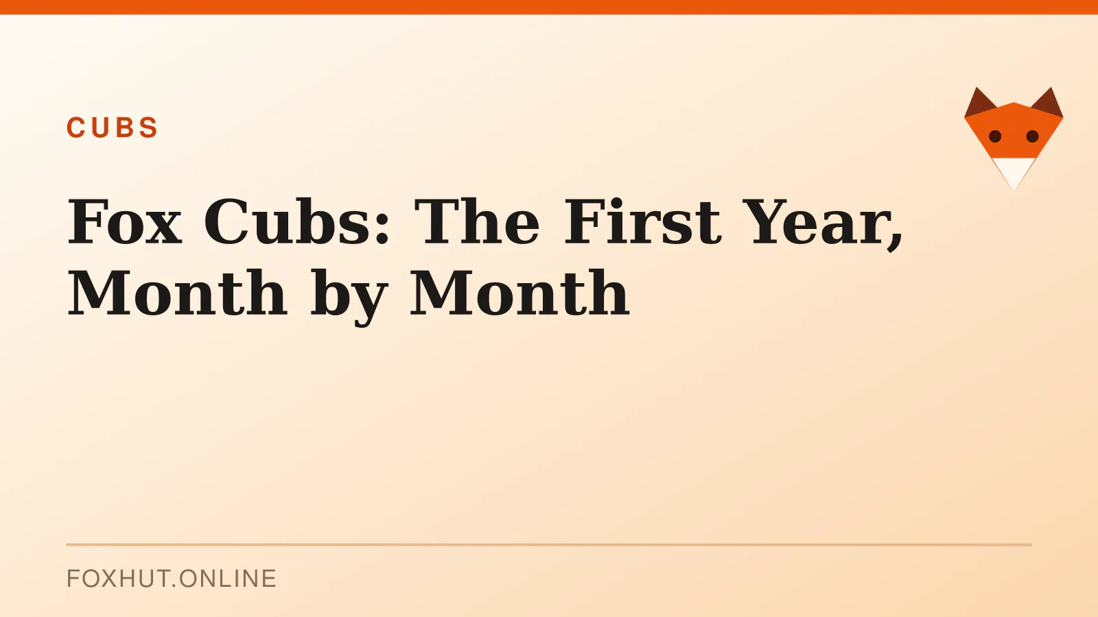 Fox Cubs: The First Year, Month by Month — cubs