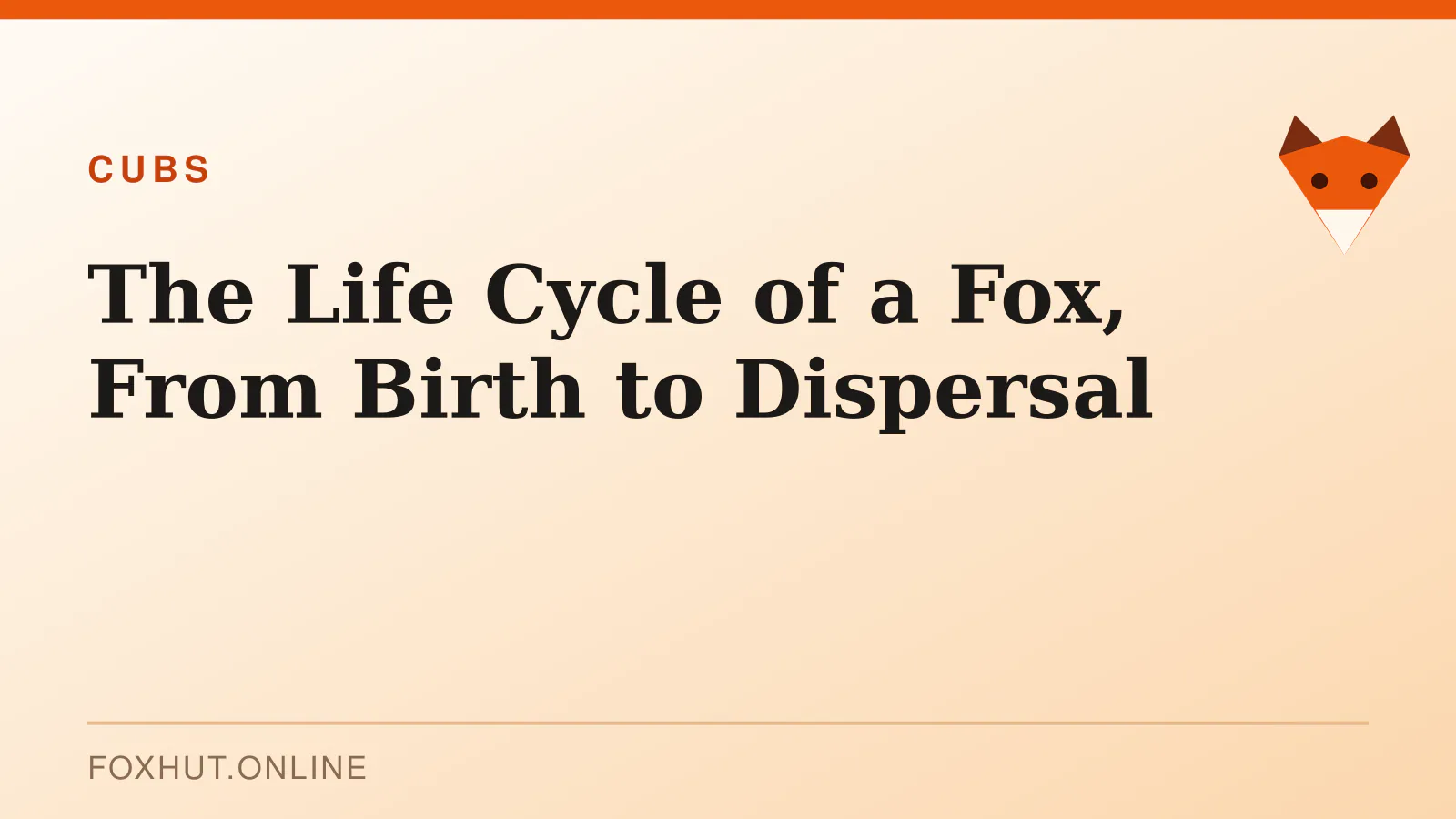 The Life Cycle of a Fox, From Birth to Dispersal — cubs
