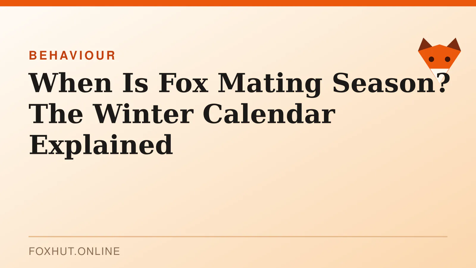 When Is Fox Mating Season? The Winter Calendar Explained — behaviour