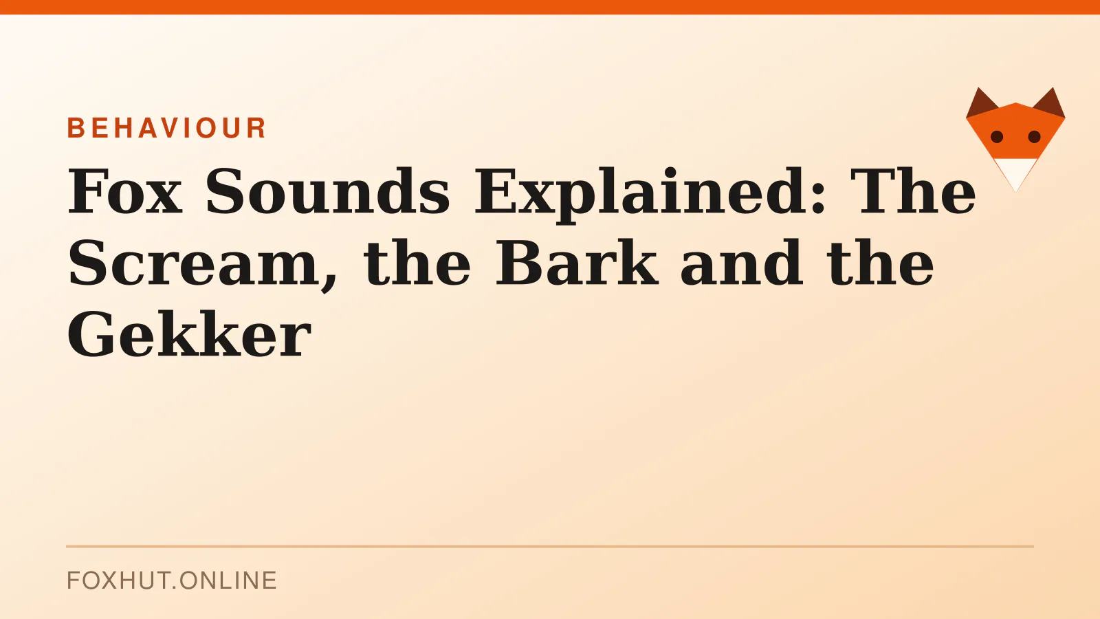 Fox Sounds Explained: The Scream, the Bark and the Gekker — behaviour