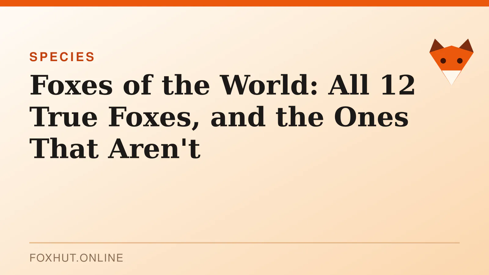 Foxes of the World: All 12 True Foxes, and the Ones That Aren't — species