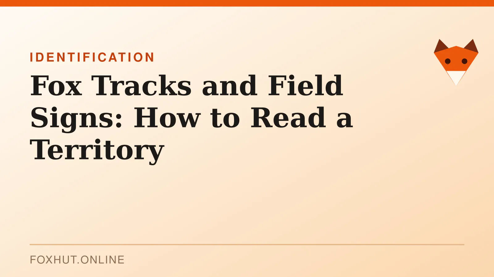 Fox Tracks and Field Signs: How to Read a Territory — identification