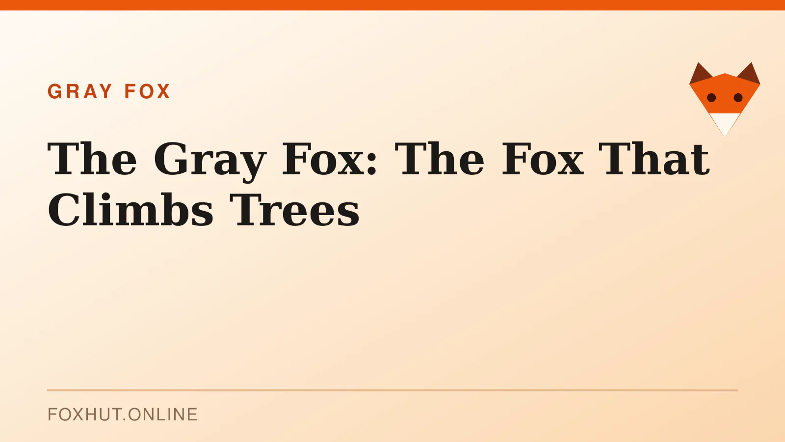 The Gray Fox: The Fox That Climbs Trees — gray fox