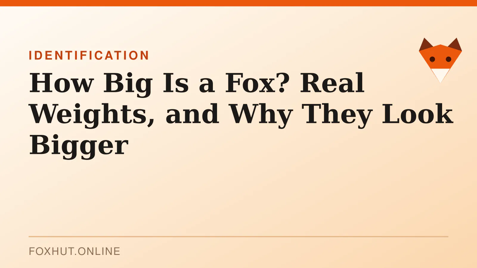 How Big Is a Fox? Real Weights, and Why They Look Bigger — identification