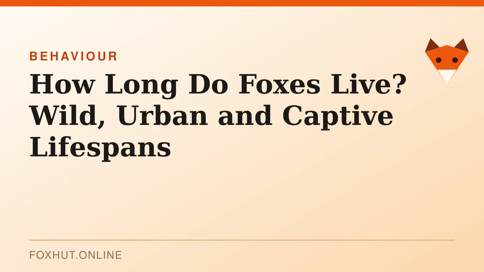 How Long Do Foxes Live? Wild, Urban and Captive Lifespans — behaviour