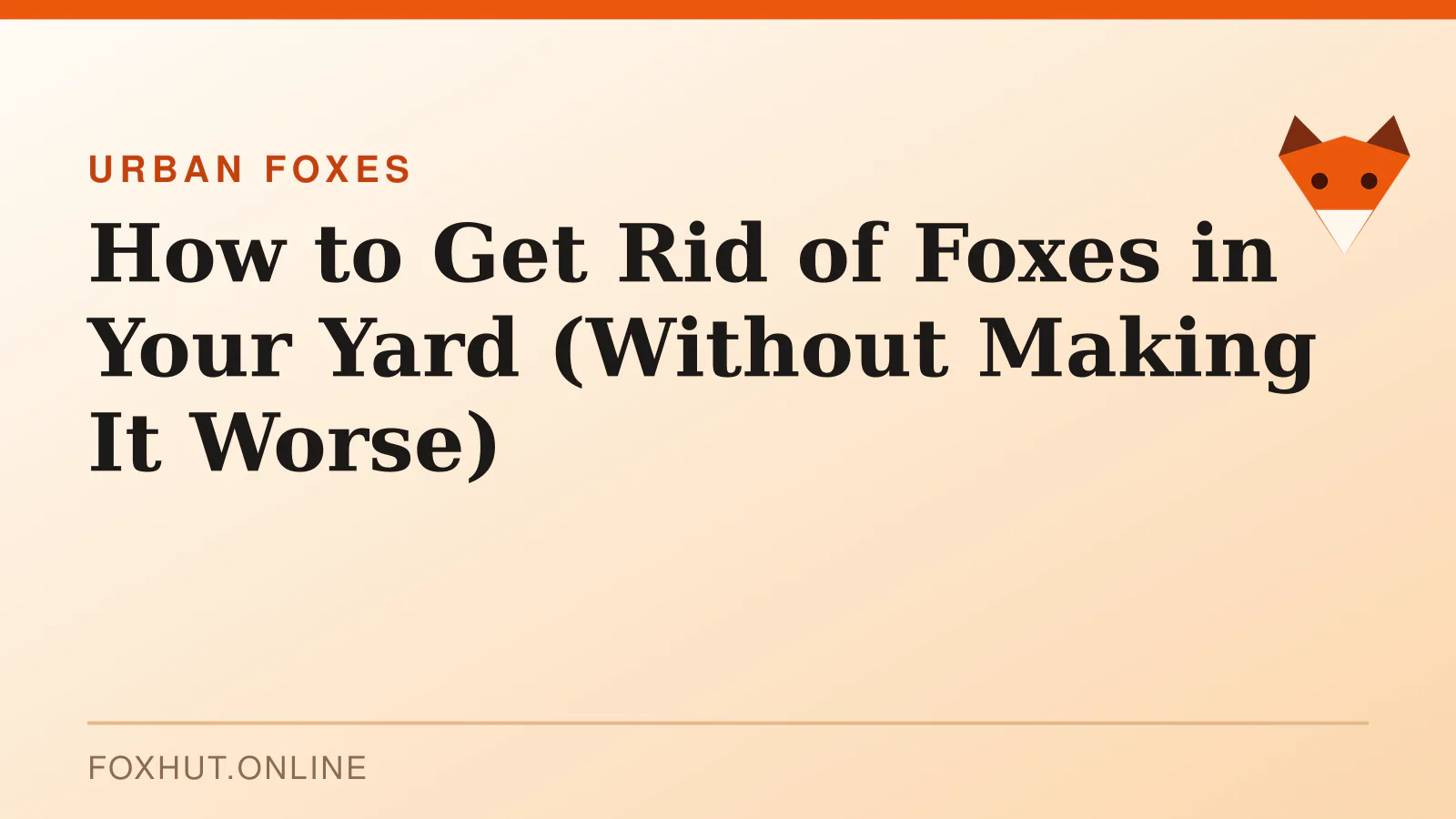 How to Get Rid of Foxes in Your Yard (Without Making It Worse) — urban foxes