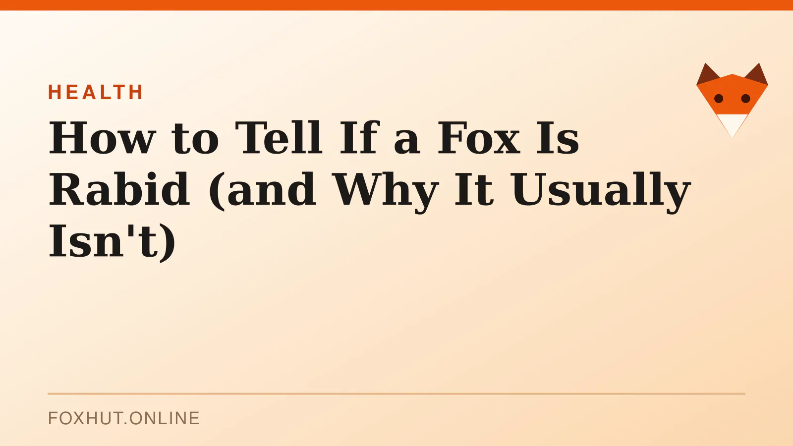 How to Tell If a Fox Is Rabid (and Why It Usually Isn't) — health