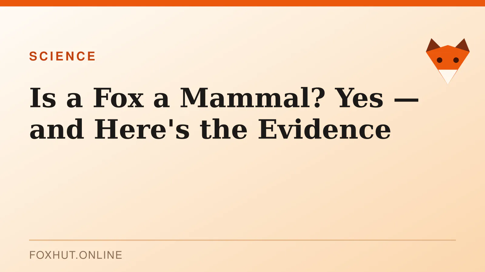 Is a Fox a Mammal? Yes — and Here's the Evidence — science