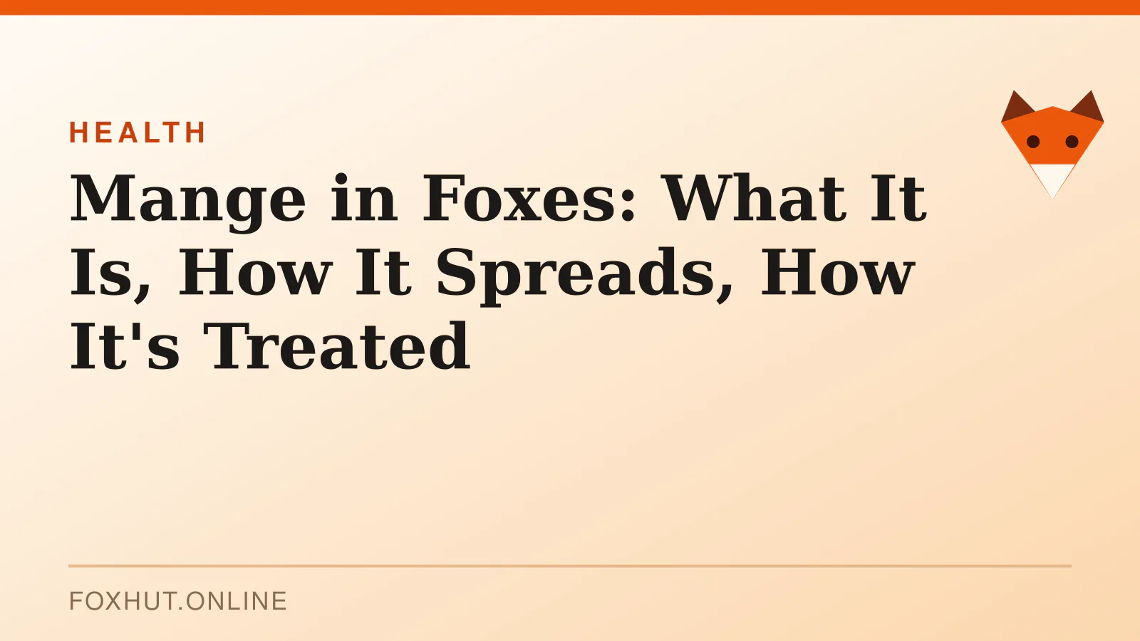 Mange in Foxes: What It Is, How It Spreads, How It's Treated — health