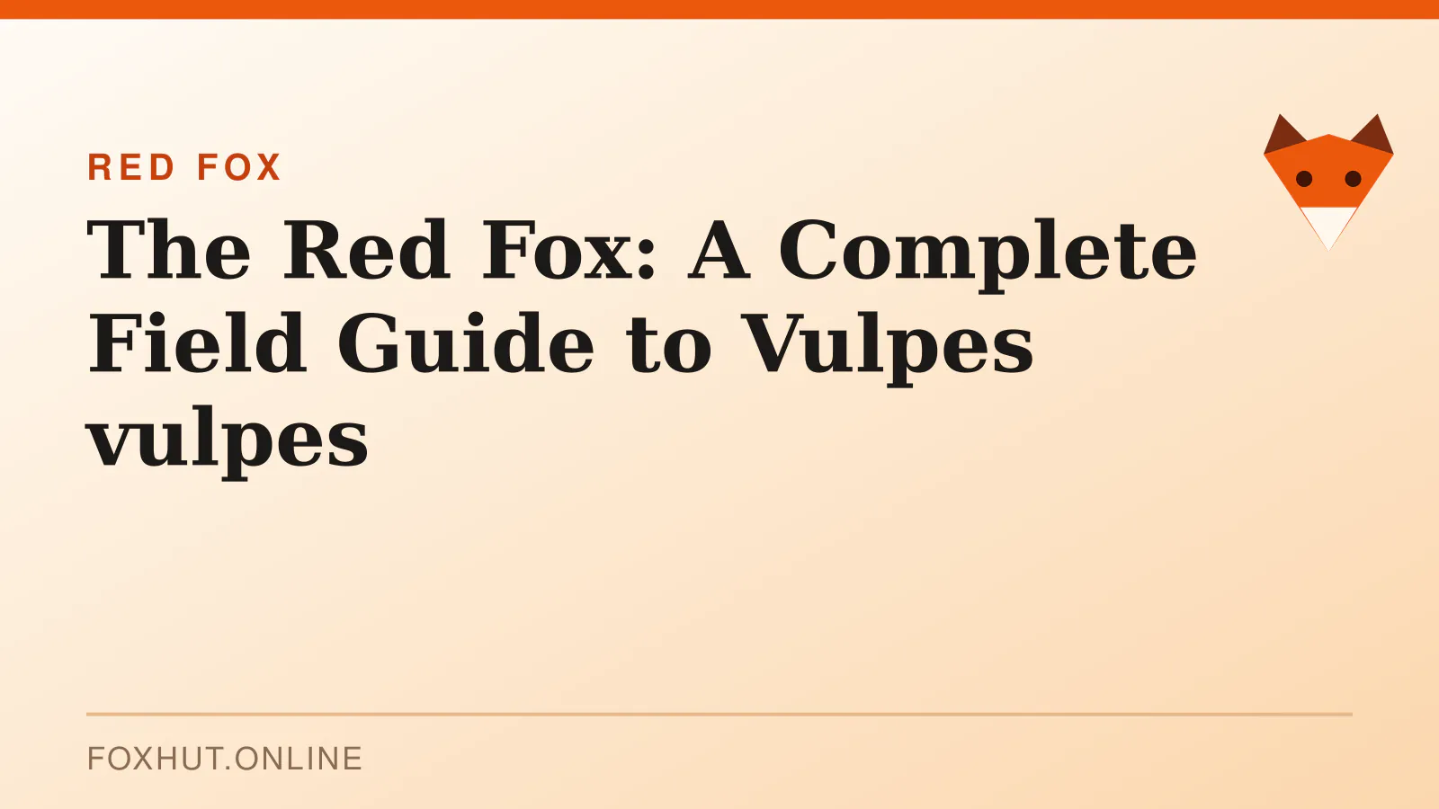 The Red Fox: A Complete Field Guide to Vulpes vulpes — red fox