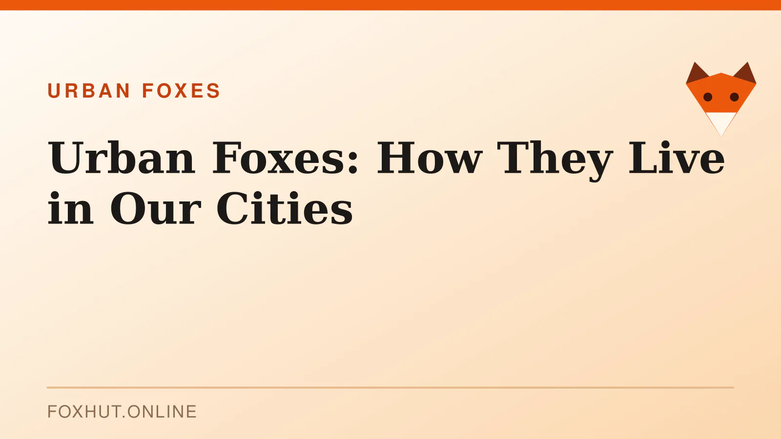 Urban Foxes: How They Live in Our Cities — urban foxes