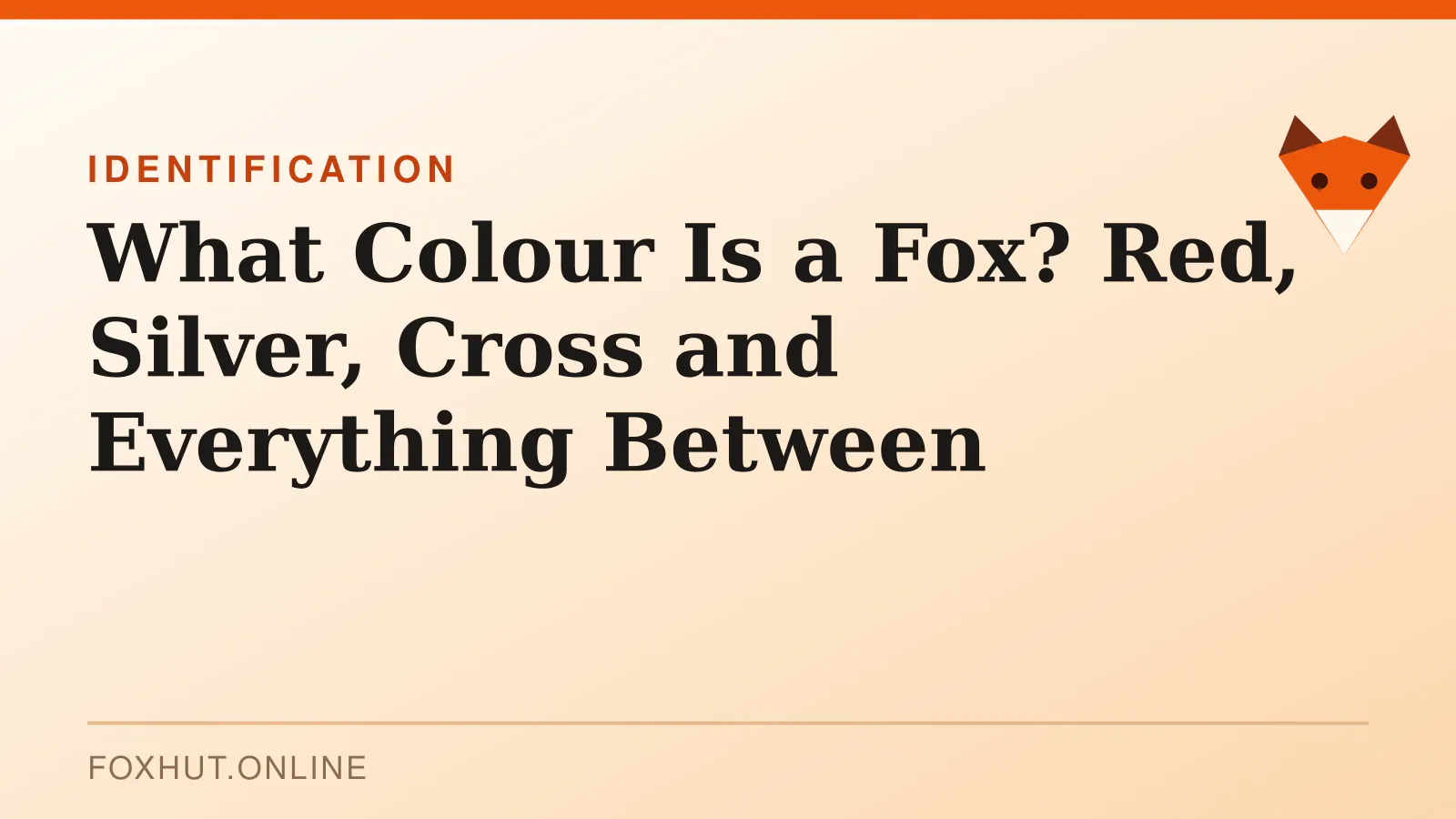 What Colour Is a Fox? Red, Silver, Cross and Everything Between — identification