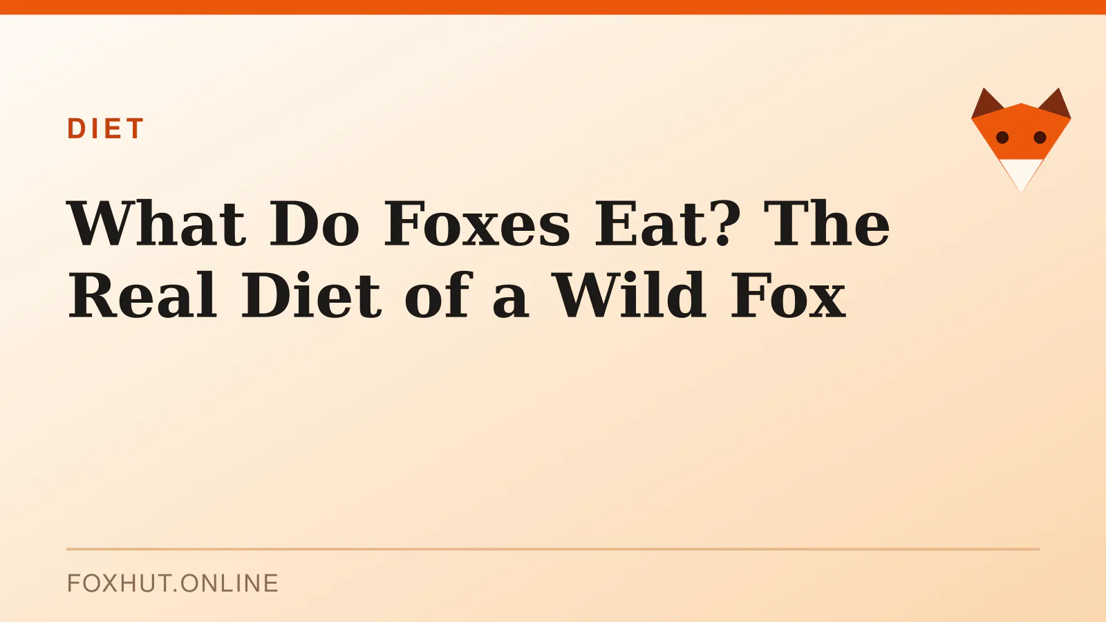 What Do Foxes Eat? The Real Diet of a Wild Fox — diet