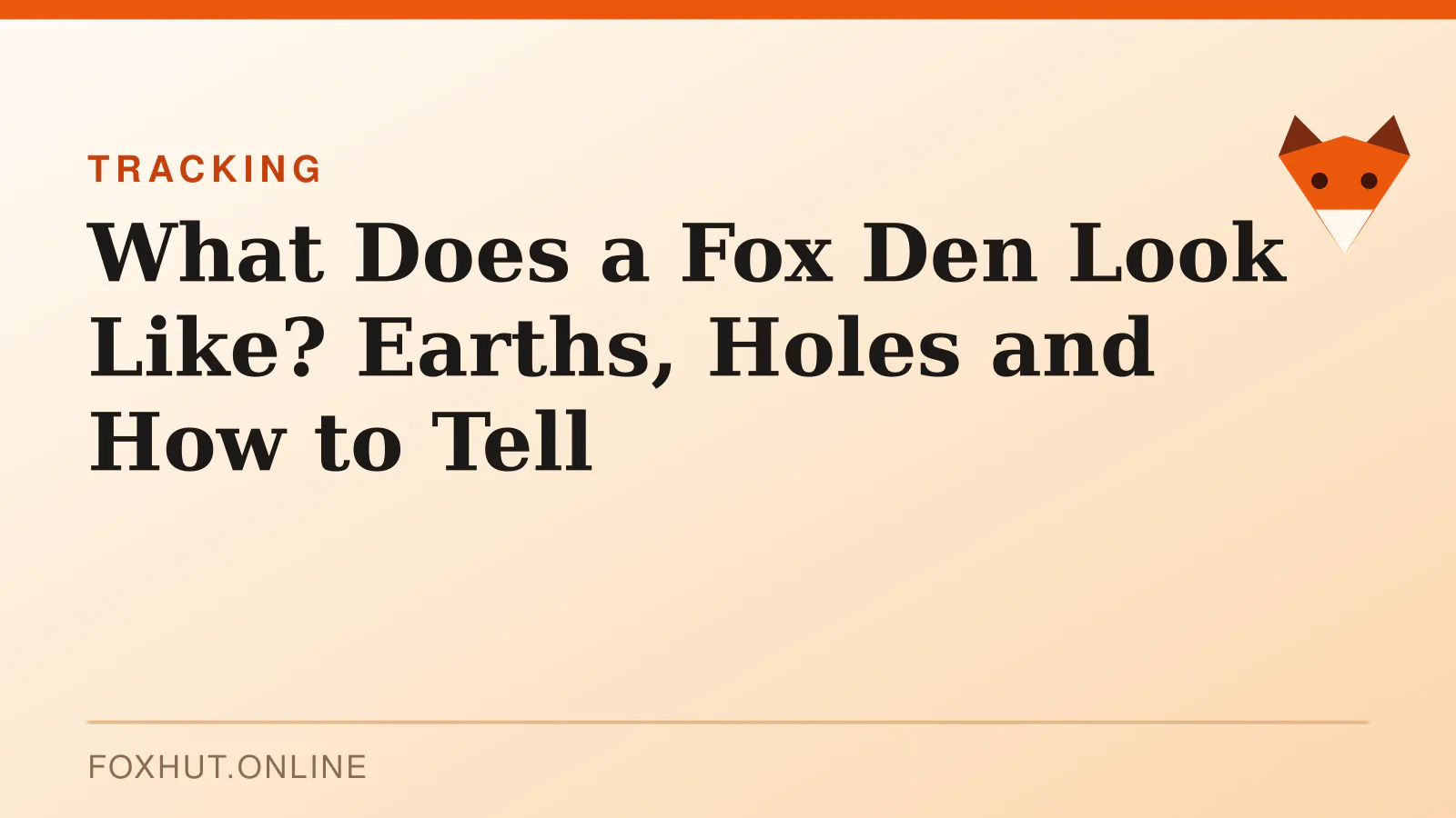 What Does a Fox Den Look Like? Earths, Holes and How to Tell — tracking