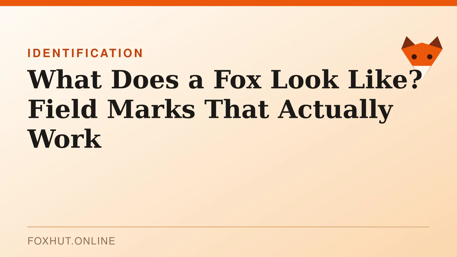 What Does a Fox Look Like? Field Marks That Actually Work — identification