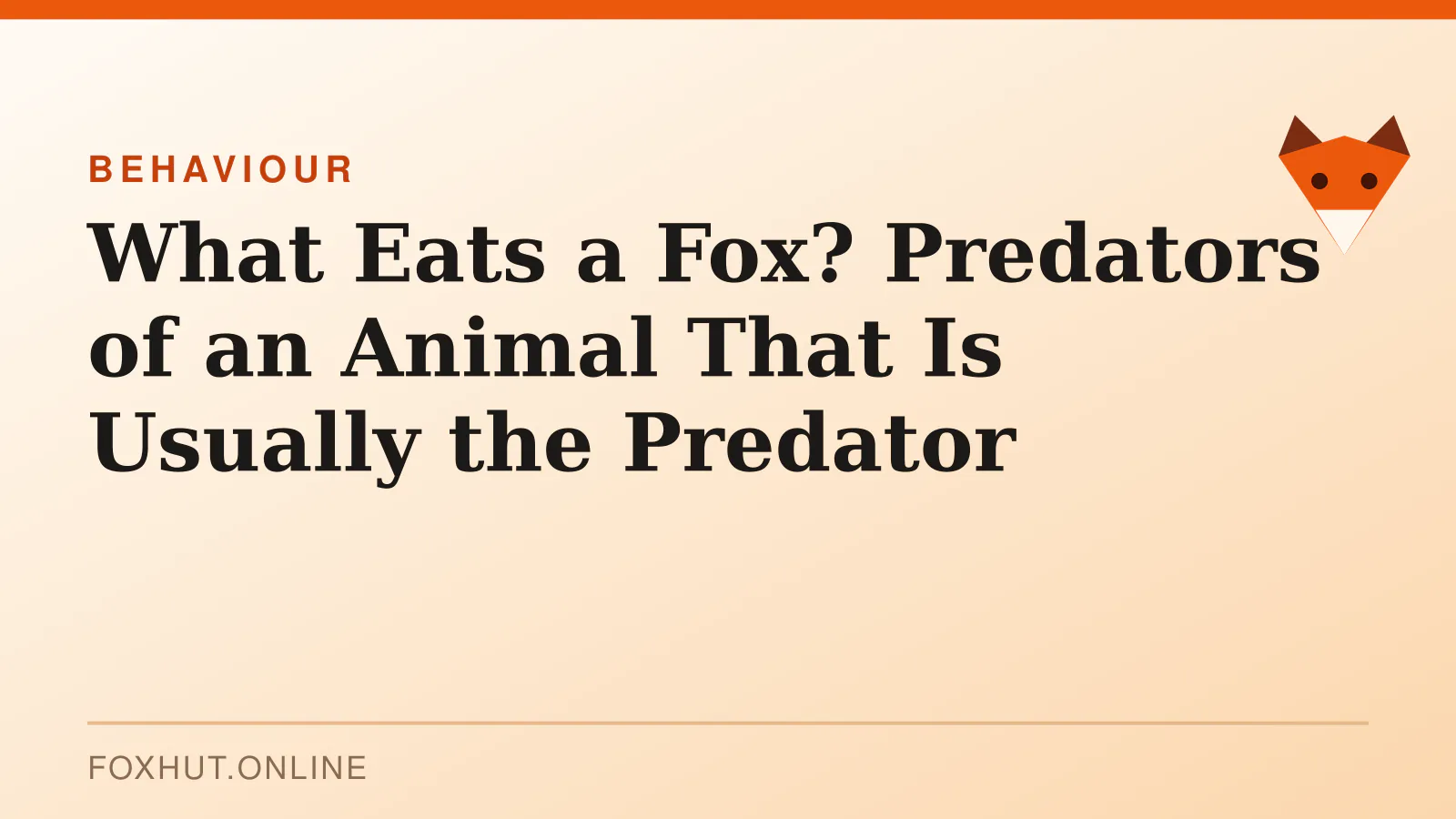 What Eats a Fox? Predators of an Animal That Is Usually the Predator — behaviour