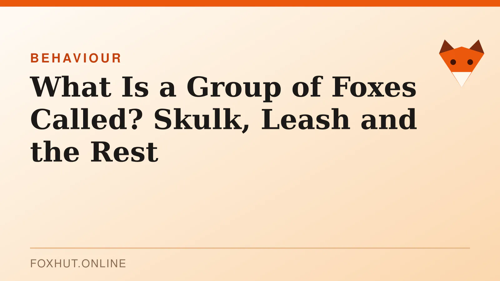 What Is a Group of Foxes Called? Skulk, Leash and the Rest — behaviour
