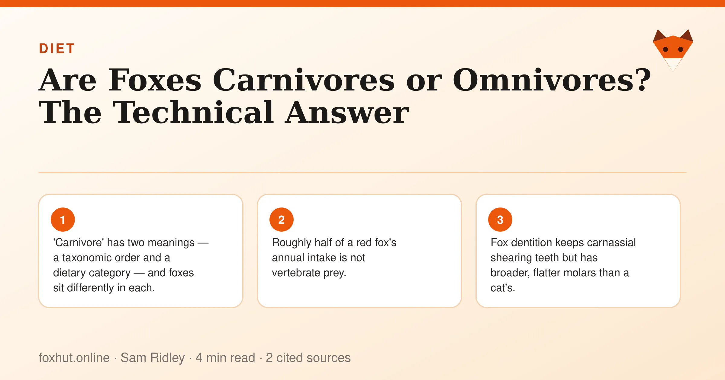 Infographic: Are Foxes Carnivores or Omnivores? The Technical Answer. Key points: 'Carnivore' has two meanings — a taxonomic order and a dietary category — and foxes sit differently in each.; Roughly half of a red fox's annual intake is not vertebrate prey.; Fox dentition keeps carnassial shearing teeth but has broader, flatter molars than a cat's.