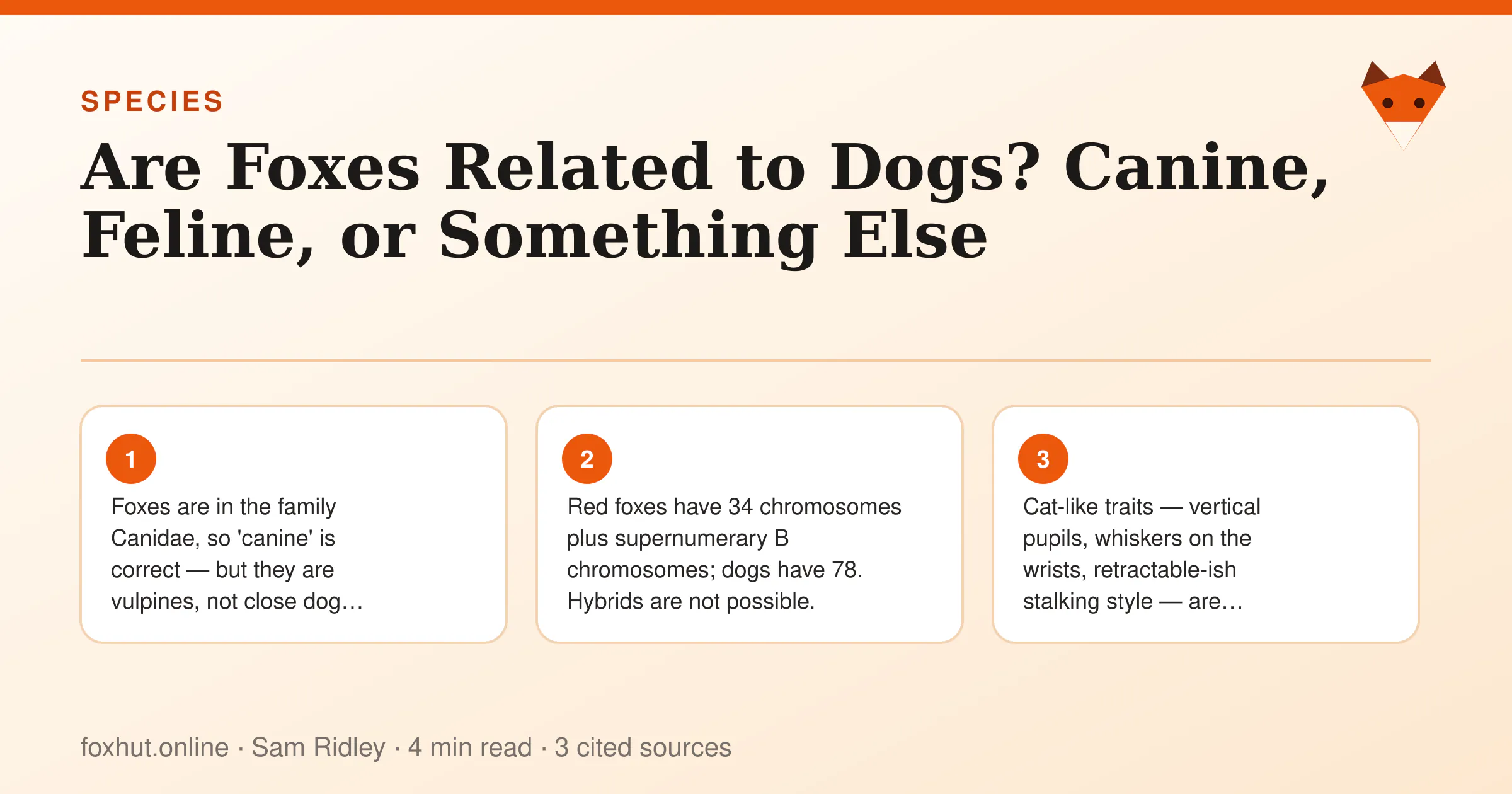 Infographic: Are Foxes Related to Dogs? Canine, Feline, or Something Else. Key points: Foxes are in the family Canidae, so 'canine' is correct — but they are vulpines, not close dog relatives.; Red foxes have 34 chromosomes plus supernumerary B chromosomes; dogs have 78. Hybrids are not possible.; Cat-like traits — vertical pupils, whiskers on the wrists, retractable-ish stalking style — are convergent evolution,…