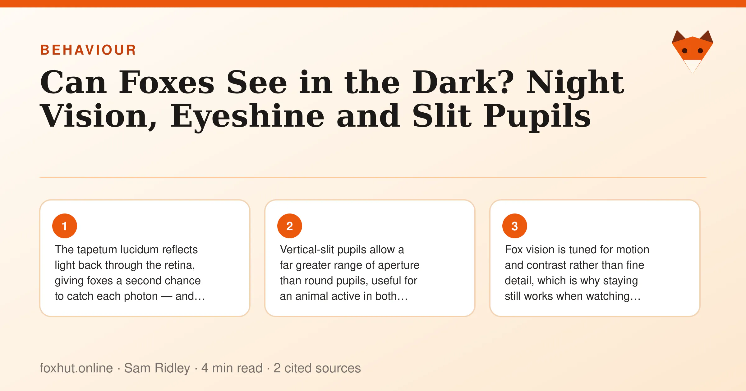 Infographic: Can Foxes See in the Dark? Night Vision, Eyeshine and Slit Pupils. Key points: The tapetum lucidum reflects light back through the retina, giving foxes a second chance to catch each photon — and…; Vertical-slit pupils allow a far greater range of aperture than round pupils, useful for an animal active in both…; Fox vision is tuned for motion and contrast rather than fine detail, which is why staying still works when watching…
