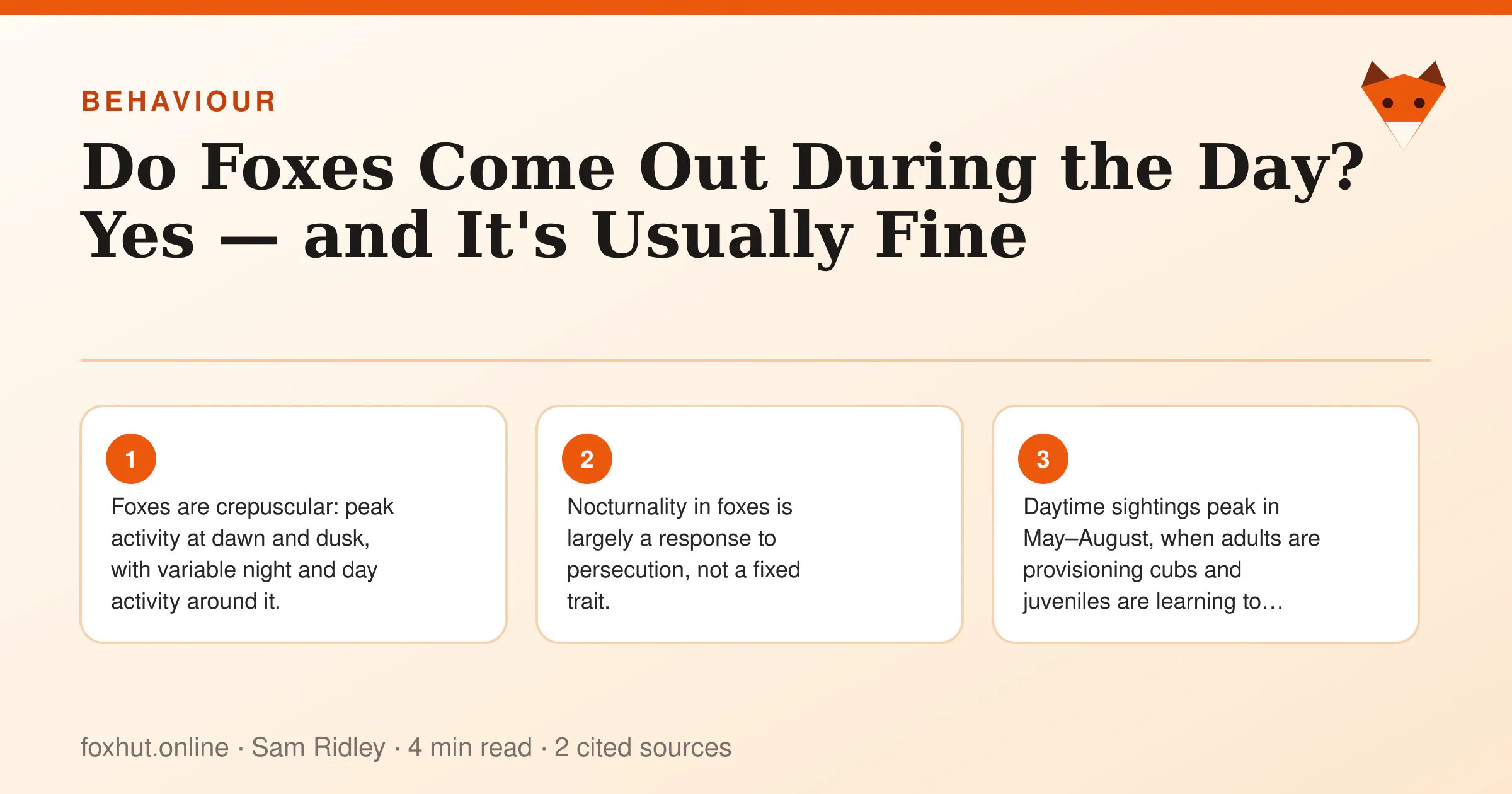 Infographic: Do Foxes Come Out During the Day? Yes — and It's Usually Fine. Key points: Foxes are crepuscular: peak activity at dawn and dusk, with variable night and day activity around it.; Nocturnality in foxes is largely a response to persecution, not a fixed trait.; Daytime sightings peak in May–August, when adults are provisioning cubs and juveniles are learning to hunt.