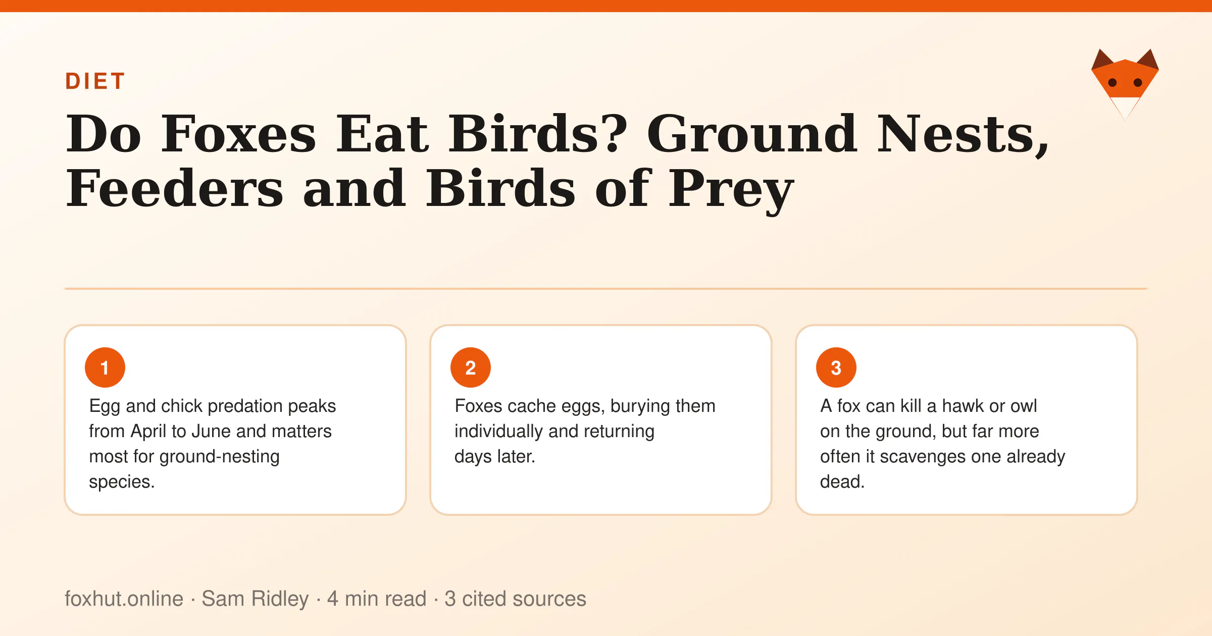Infographic: Do Foxes Eat Birds? Ground Nests, Feeders and Birds of Prey. Key points: Egg and chick predation peaks from April to June and matters most for ground-nesting species.; Foxes cache eggs, burying them individually and returning days later.; A fox can kill a hawk or owl on the ground, but far more often it scavenges one already dead.