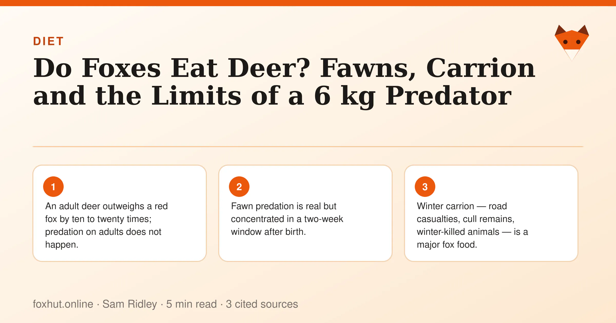 Infographic: Do Foxes Eat Deer? Fawns, Carrion and the Limits of a 6 kg Predator. Key points: An adult deer outweighs a red fox by ten to twenty times; predation on adults does not happen.; Fawn predation is real but concentrated in a two-week window after birth.; Winter carrion — road casualties, cull remains, winter-killed animals — is a major fox food.
