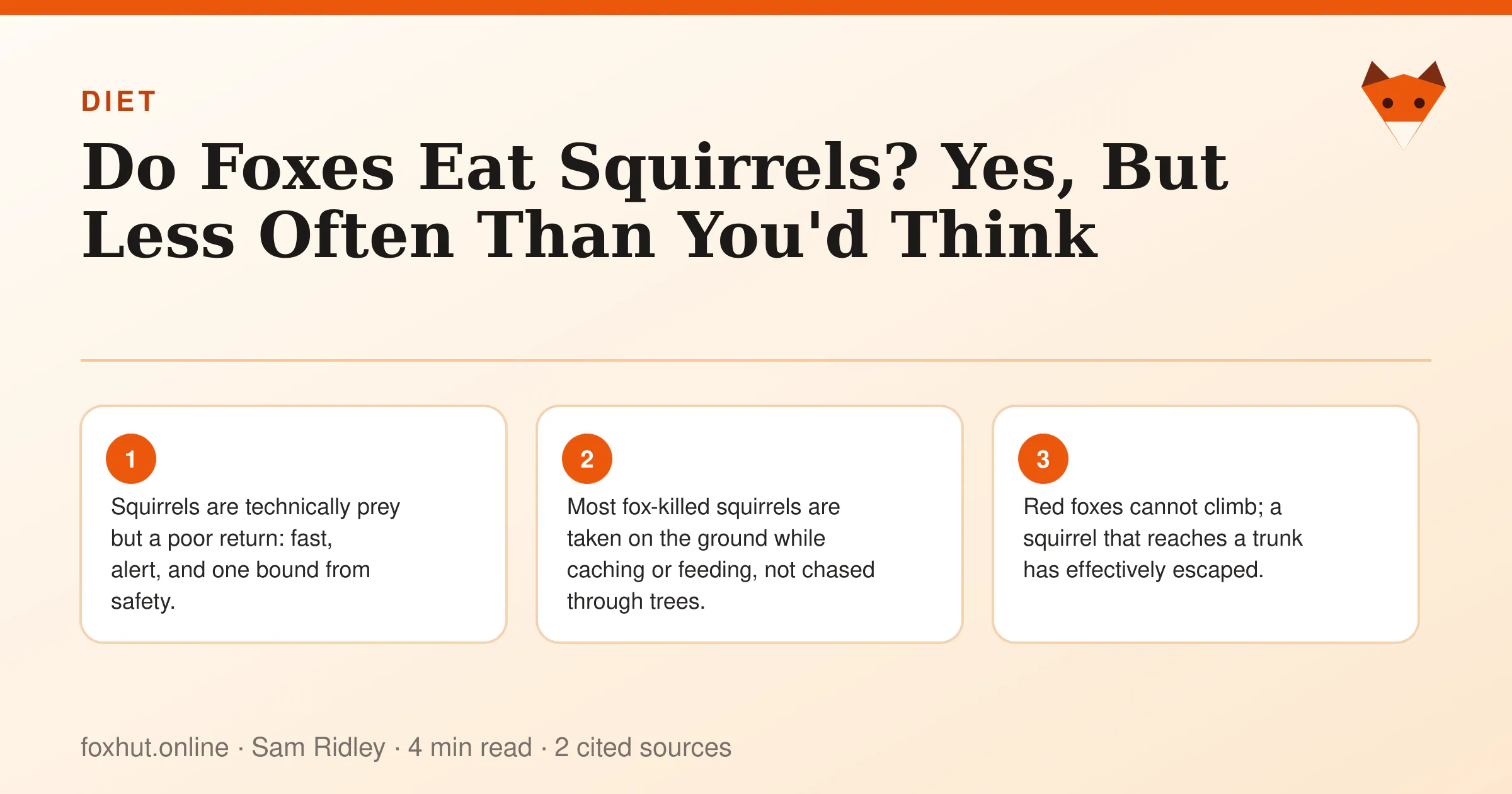 Infographic: Do Foxes Eat Squirrels? Yes, But Less Often Than You'd Think. Key points: Squirrels are technically prey but a poor return: fast, alert, and one bound from safety.; Most fox-killed squirrels are taken on the ground while caching or feeding, not chased through trees.; Red foxes cannot climb; a squirrel that reaches a trunk has effectively escaped.
