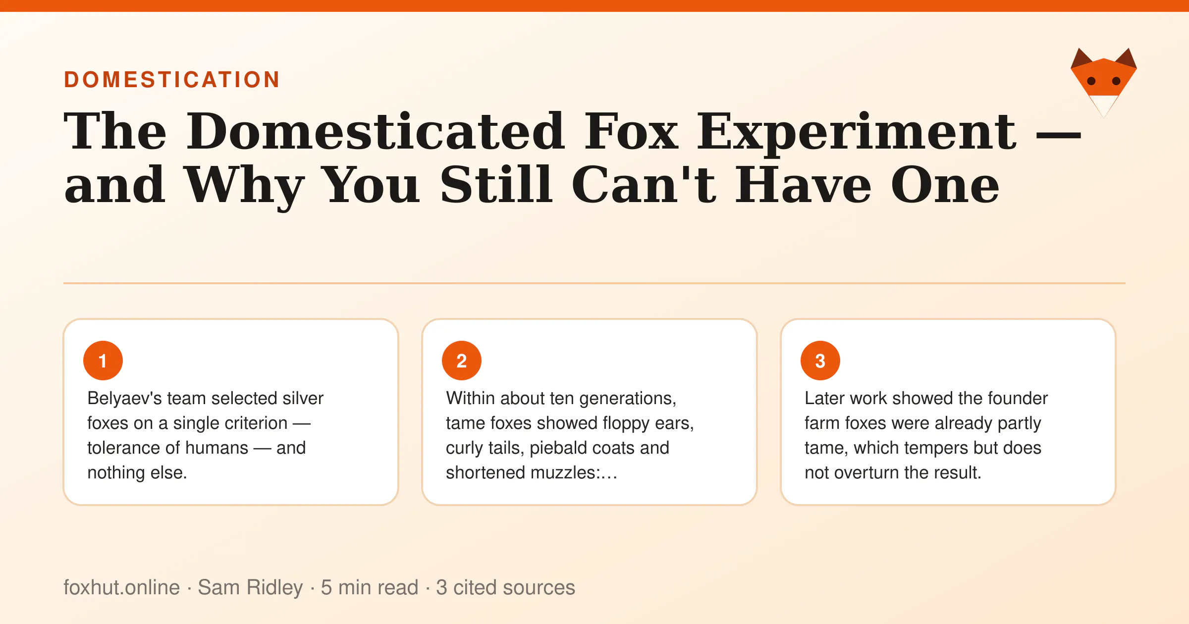 Infographic: The Domesticated Fox Experiment — and Why You Still Can't Have One. Key points: Belyaev's team selected silver foxes on a single criterion — tolerance of humans — and nothing else.; Within about ten generations, tame foxes showed floppy ears, curly tails, piebald coats and shortened muzzles:…; Later work showed the founder farm foxes were already partly tame, which tempers but does not overturn the result.