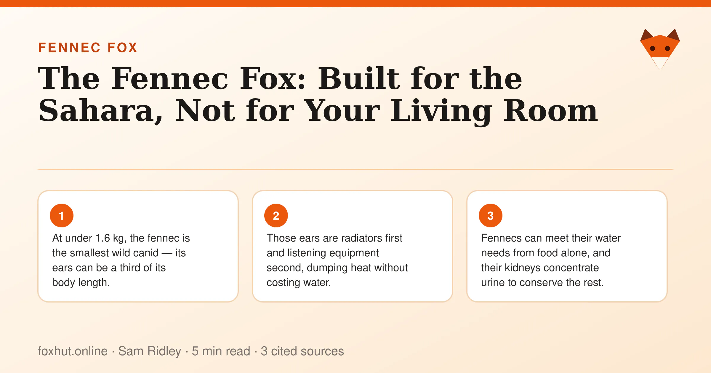 Infographic: The Fennec Fox: Built for the Sahara, Not for Your Living Room. Key points: At under 1.6 kg, the fennec is the smallest wild canid — its ears can be a third of its body length.; Those ears are radiators first and listening equipment second, dumping heat without costing water.; Fennecs can meet their water needs from food alone, and their kidneys concentrate urine to conserve the rest.