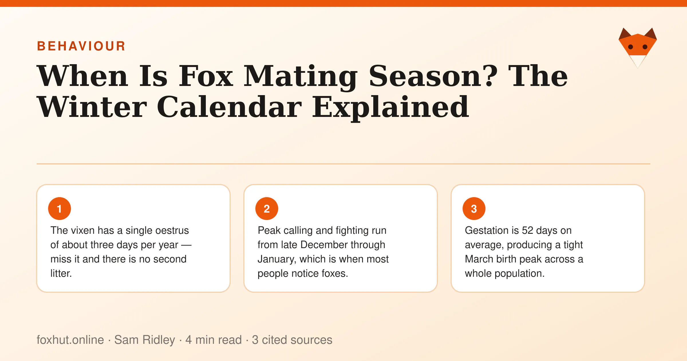 Infographic: When Is Fox Mating Season? The Winter Calendar Explained. Key points: The vixen has a single oestrus of about three days per year — miss it and there is no second litter.; Peak calling and fighting run from late December through January, which is when most people notice foxes.; Gestation is 52 days on average, producing a tight March birth peak across a whole population.