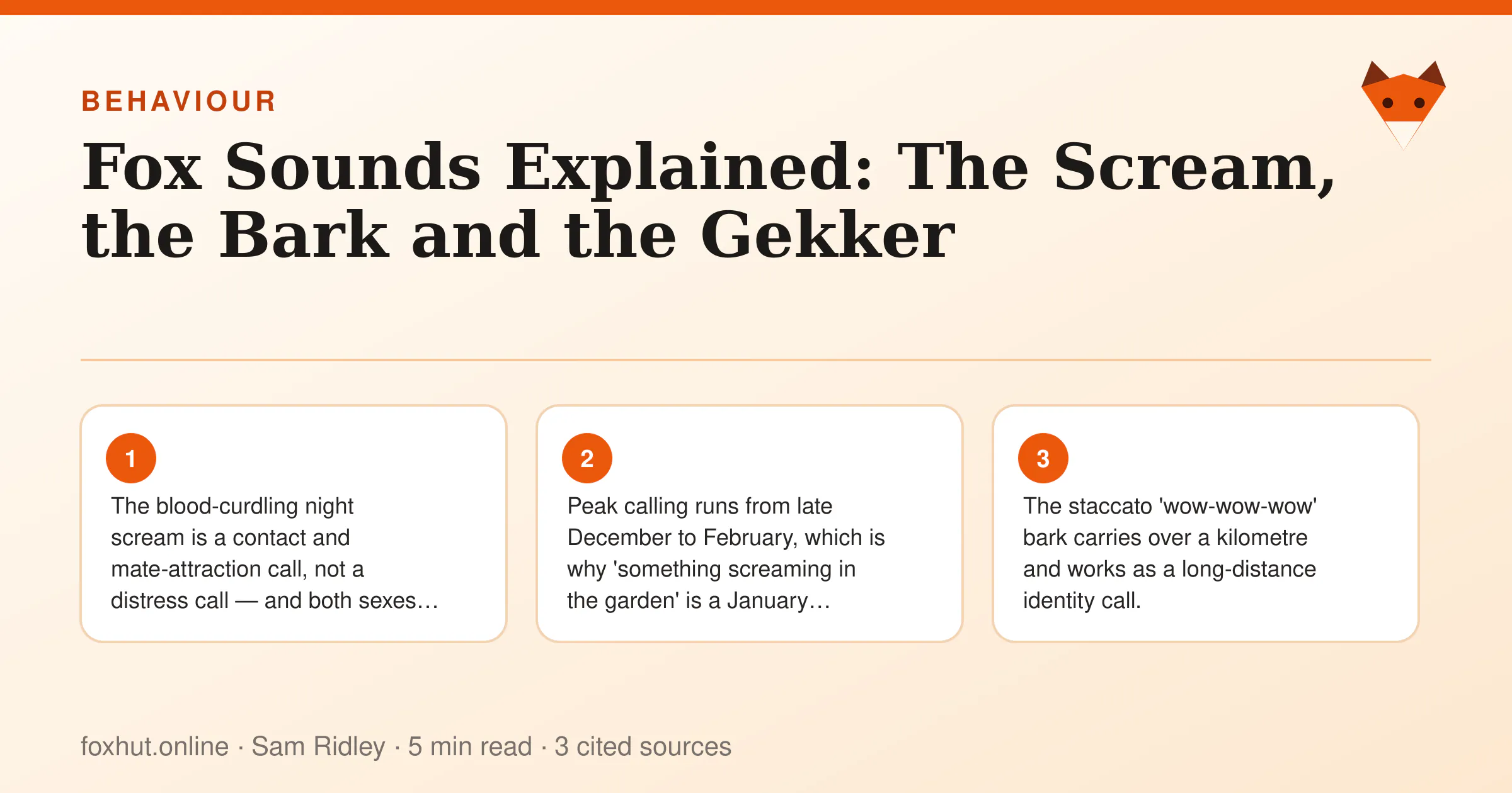 Infographic: Fox Sounds Explained: The Scream, the Bark and the Gekker. Key points: The blood-curdling night scream is a contact and mate-attraction call, not a distress call — and both sexes make it.; Peak calling runs from late December to February, which is why 'something screaming in the garden' is a January…; The staccato 'wow-wow-wow' bark carries over a kilometre and works as a long-distance identity call.