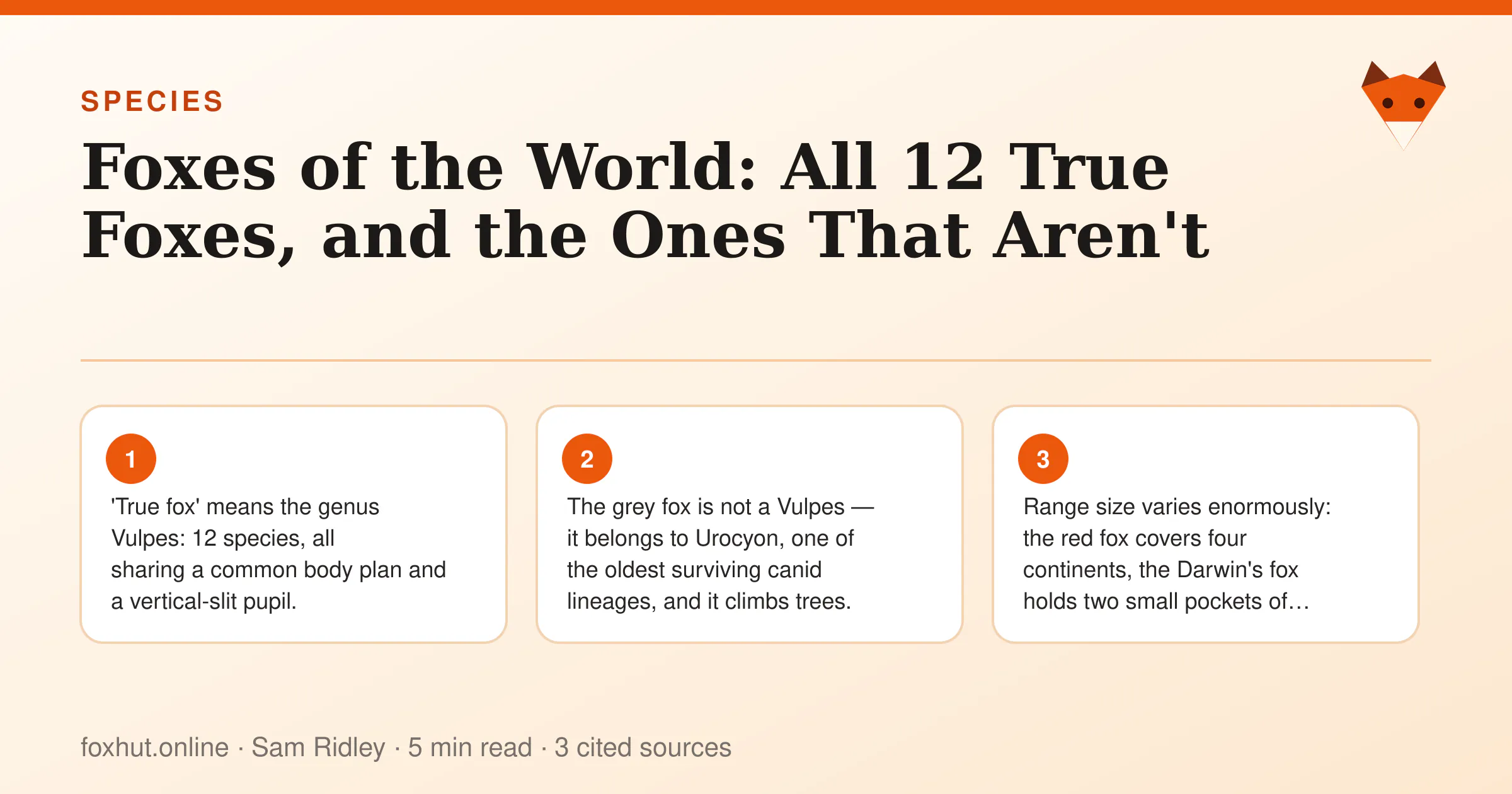 Infographic: Foxes of the World: All 12 True Foxes, and the Ones That Aren't. Key points: 'True fox' means the genus Vulpes: 12 species, all sharing a common body plan and a vertical-slit pupil.; The grey fox is not a Vulpes — it belongs to Urocyon, one of the oldest surviving canid lineages, and it climbs trees.; Range size varies enormously: the red fox covers four continents, the Darwin's fox holds two small pockets of Chile.