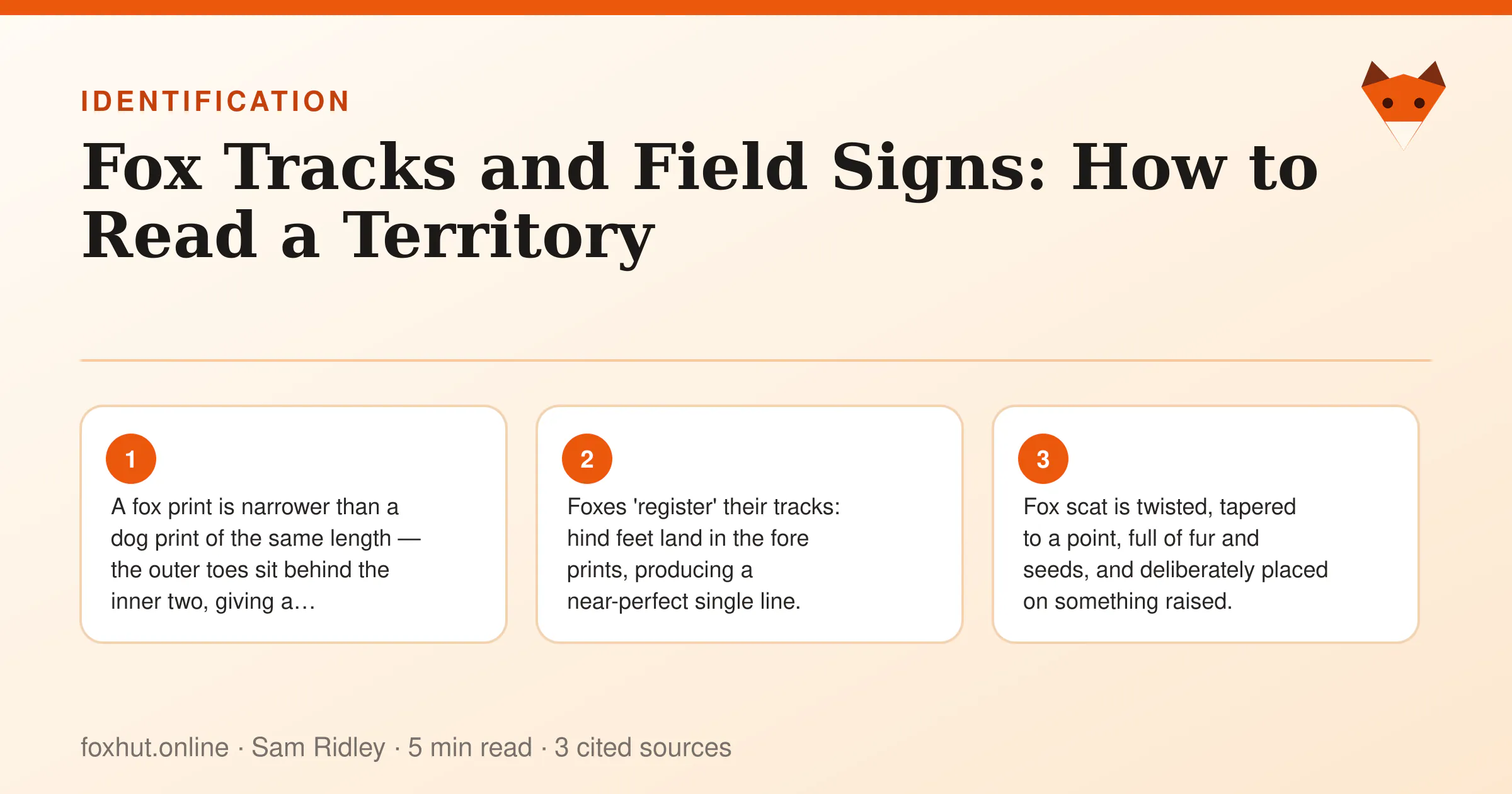 Infographic: Fox Tracks and Field Signs: How to Read a Territory. Key points: A fox print is narrower than a dog print of the same length — the outer toes sit behind the inner two, giving a diamond…; Foxes 'register' their tracks: hind feet land in the fore prints, producing a near-perfect single line.; Fox scat is twisted, tapered to a point, full of fur and seeds, and deliberately placed on something raised.