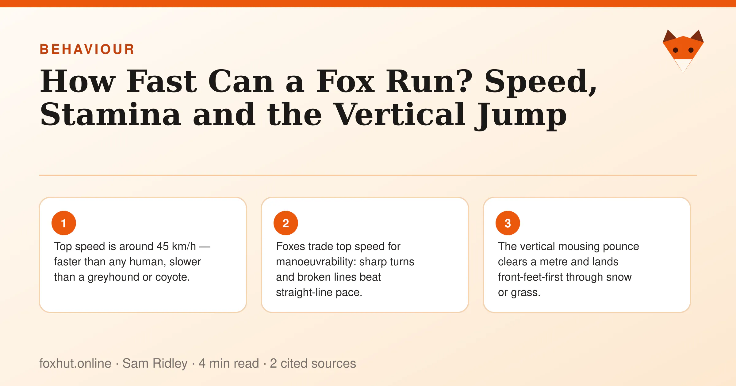 Infographic: How Fast Can a Fox Run? Speed, Stamina and the Vertical Jump. Key points: Top speed is around 45 km/h — faster than any human, slower than a greyhound or coyote.; Foxes trade top speed for manoeuvrability: sharp turns and broken lines beat straight-line pace.; The vertical mousing pounce clears a metre and lands front-feet-first through snow or grass.