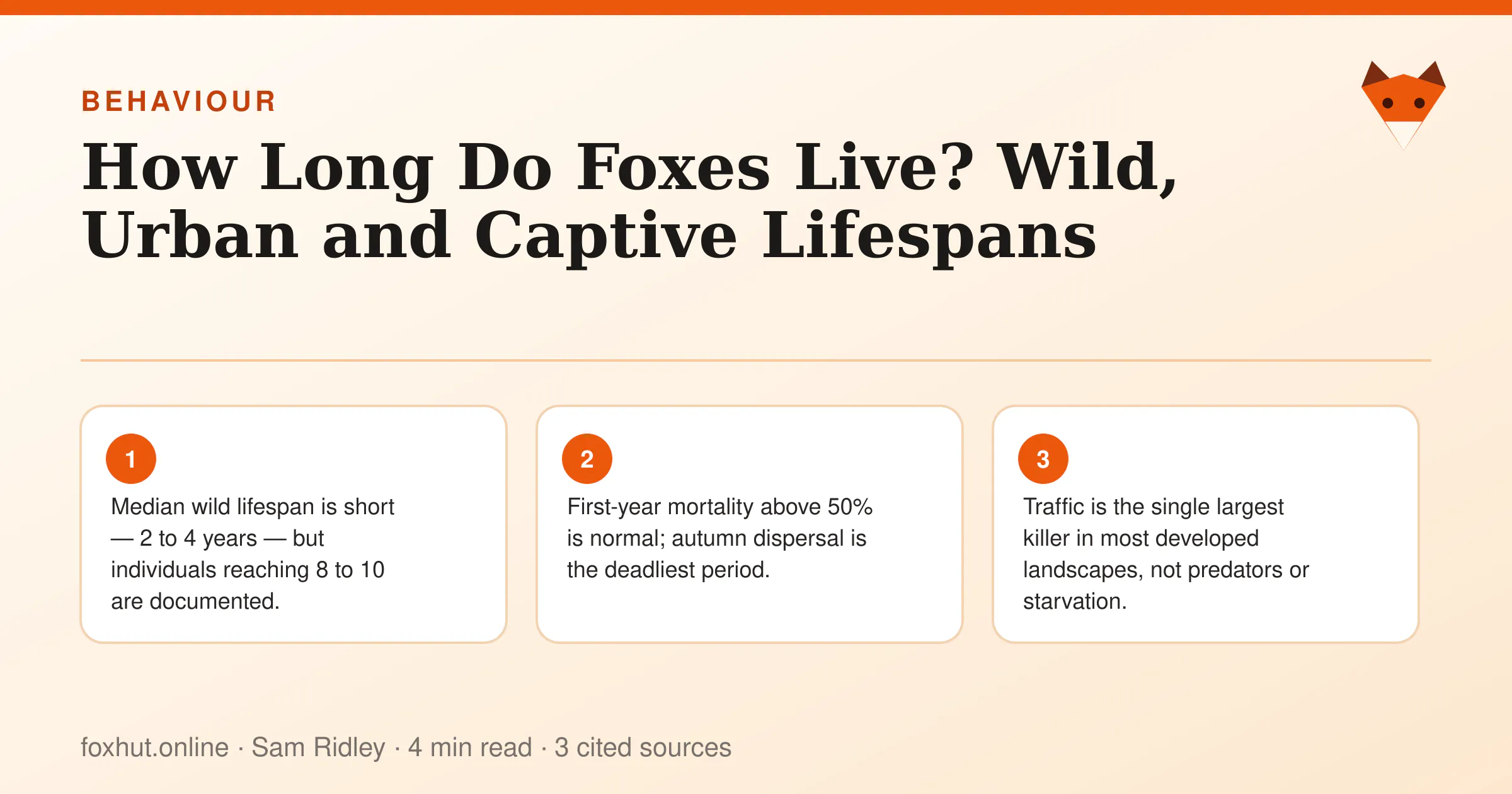 Infographic: How Long Do Foxes Live? Wild, Urban and Captive Lifespans. Key points: Median wild lifespan is short — 2 to 4 years — but individuals reaching 8 to 10 are documented.; First-year mortality above 50% is normal; autumn dispersal is the deadliest period.; Traffic is the single largest killer in most developed landscapes, not predators or starvation.