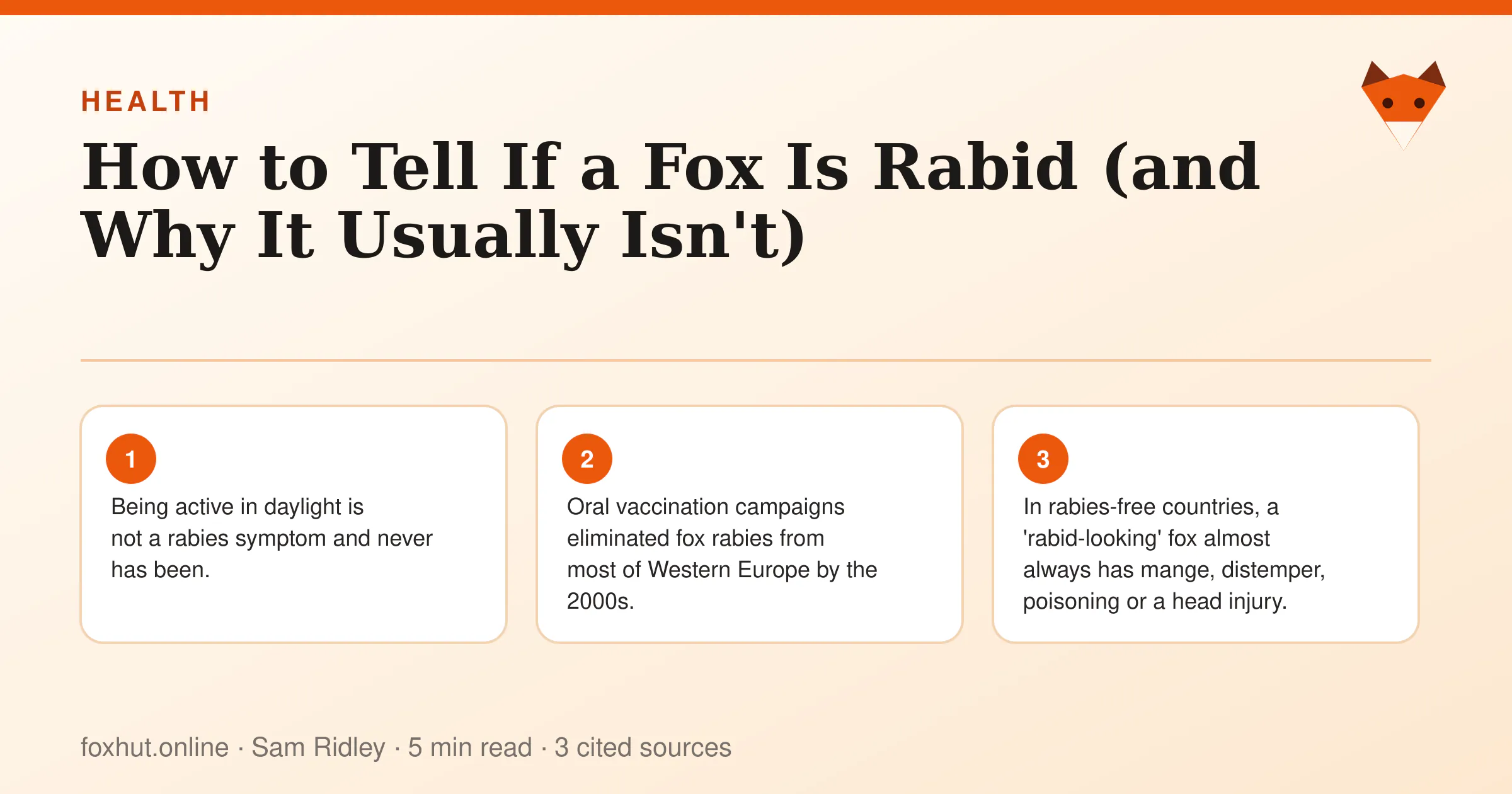 Infographic: How to Tell If a Fox Is Rabid (and Why It Usually Isn't). Key points: Being active in daylight is not a rabies symptom and never has been.; Oral vaccination campaigns eliminated fox rabies from most of Western Europe by the 2000s.; In rabies-free countries, a 'rabid-looking' fox almost always has mange, distemper, poisoning or a head injury.
